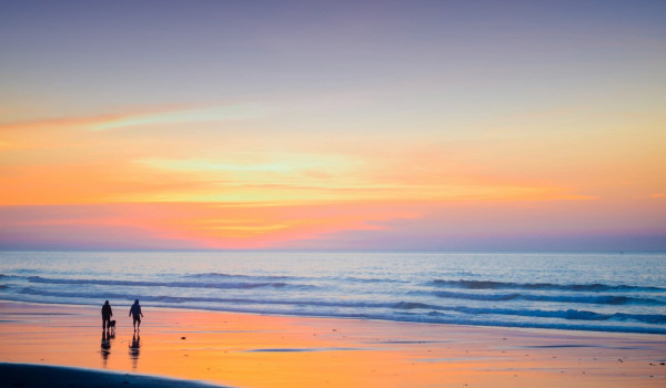 Walk on beach with dog at sunset