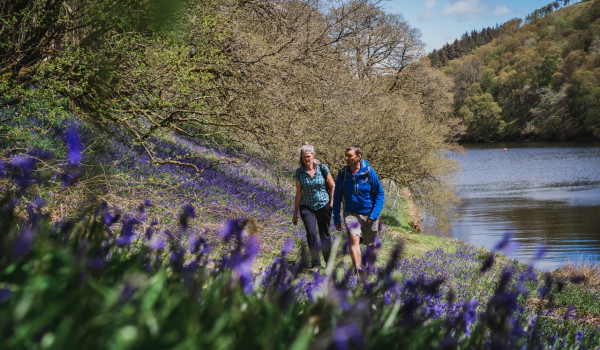 National Walking Month