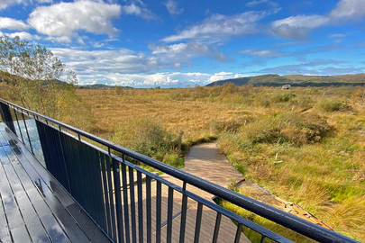 Dyfi Wildlife Centre