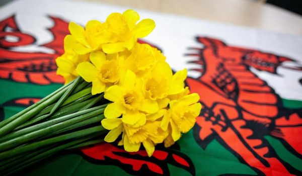 st davids day