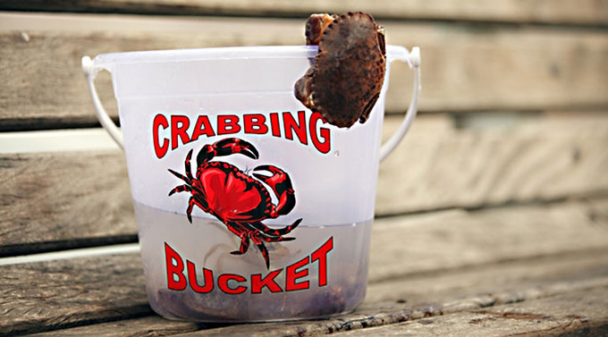 Crabbing bucket