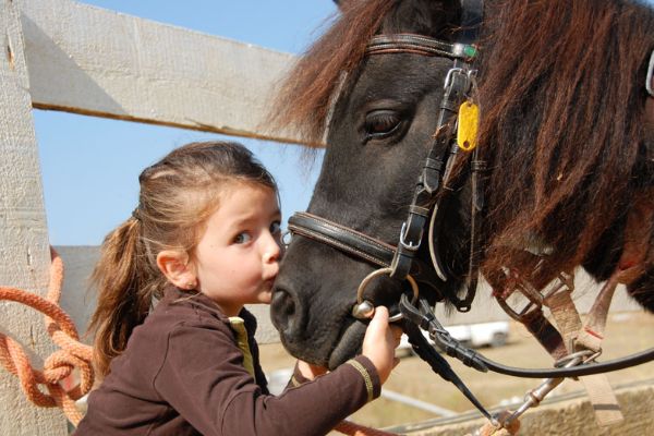 Pony Trekking